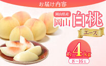 岡山県産&nbsp;桃&nbsp;岡山白桃&nbsp;2026年&nbsp;エース&nbsp;約4kg（8～16玉）【白桃&nbsp;桃&nbsp;もも&nbsp;果物&nbsp;フルーツ&nbsp;新鮮&nbsp;岡山県産&nbsp;おすすめ&nbsp;人気&nbsp;ギフト&nbsp;岡山県&nbsp;岡山市】