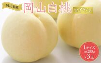 岡山県産 桃 岡山白桃 2025年 先行予約 ロイヤル 3玉×約200g 計600g Lサイズ もも モモ フルーツ 果物 ギフト