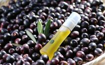 井上誠耕園【季節限定】今季搾りたて小豆島産エキストラヴァージンオリーブオイル&nbsp;20ml【化粧用】と釜焚きオリーブ石鹸100ｇセット