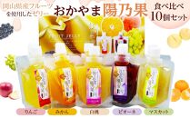おかやま陽乃果&nbsp;フルーツゼリー&nbsp;10個&nbsp;食べ比べ&nbsp;セット