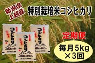 【定期便】新潟県上越産特別栽培米コシヒカリ5kg×3回　令和5年度産