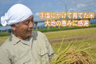 【定期便】新潟県上越産特別栽培米コシヒカリ5kg×3回　令和5年度産