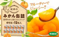 【2025年3月中旬より発送予定】紀州のみかん缶詰（みかん果汁入りシラップ）　12缶セット【KF5】