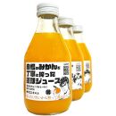 糖度11度以上 自慢のみかんを丁寧に搾った直球ジュース 180ml 3本 みかんジュース 勇希農園