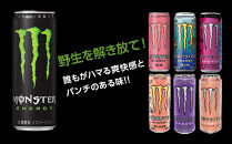 モンスター オージースタイルレモネード 355ml×24本【1ケース】