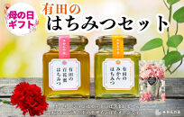 【母の日ギフト】有田のはちみつセット（みかん蜂蜜210g&nbsp;百花蜂蜜210g&nbsp;各1本）和歌山県産&nbsp;産地直送【みかんの会】