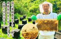 【母の日ギフト】有田のはちみつセット（みかん蜂蜜210g&nbsp;百花蜂蜜210g&nbsp;各1本）和歌山県産&nbsp;産地直送【みかんの会】