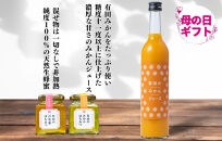 【母の日ギフト】みかんジュース＆はちみつ&nbsp;セット&nbsp;有田のみかんジュース（500ml×2本）と&nbsp;有田のはちみつ（&nbsp;みかん蜂蜜・百花蜜&nbsp;各210g）和歌山県産&nbsp;産地直送【みかんの会】