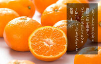 【母の日ギフト】みかんジュース＆はちみつ&nbsp;セット&nbsp;有田のみかんジュース（500ml×2本）と&nbsp;有田のはちみつ（&nbsp;みかん蜂蜜・百花蜜&nbsp;各210g）和歌山県産&nbsp;産地直送【みかんの会】