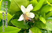 【母の日ギフト】みかんジュース＆はちみつ&nbsp;セット&nbsp;有田のみかんジュース（500ml×2本）と&nbsp;有田のはちみつ（&nbsp;みかん蜂蜜・百花蜜&nbsp;各210g）和歌山県産&nbsp;産地直送【みかんの会】