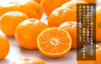 【母の日ギフト】みかんジュース(180ml&nbsp;×&nbsp;6本)&nbsp;和歌山産&nbsp;有田みかん使用&nbsp;果汁100％&nbsp;ストレート【みかんの会】