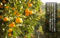 【母の日ギフト】みかんジュース(180ml&nbsp;×&nbsp;6本)&nbsp;和歌山産&nbsp;有田みかん使用&nbsp;果汁100％&nbsp;ストレート【みかんの会】