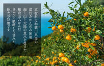 【母の日ギフト】みかんジュース&nbsp;(500ml&nbsp;×&nbsp;3本)&nbsp;和歌山産&nbsp;有田みかん使用&nbsp;果汁100％&nbsp;ストレート&nbsp;【みかんの会】