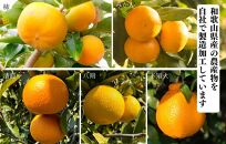 【母の日ギフト】みかん ドライフルーツ まんまみかんチップ 100g ( 20g × 5袋 ) 和歌山県産 果物使用 国内製造 【みかんの会】