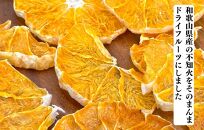 【母の日ギフト】しらぬい ドライフルーツ まんま不知火チップ 100g ( 20g × 5袋 )  和歌山県産 果物使用 国内製造 【みかんの会】