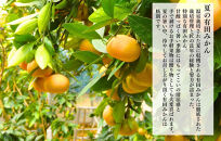 【母の日ギフト】ハウスみかん&nbsp;温室栽培&nbsp;夏の有田みかん&nbsp;2kg&nbsp;秀品&nbsp;L&nbsp;M&nbsp;Sサイズのいずれか&nbsp;和歌山県産&nbsp;産地直送&nbsp;【みかんの会】