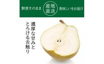 酒田の美味しいラ・フランス(洋梨) 秀品　約5kg(12～18玉入)＜マルト直治郎商店＞