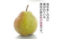 酒田の美味しいラ・フランス(洋梨) 秀品　約5kg(12～18玉入)＜マルト直治郎商店＞