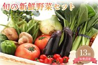 旬の新鮮野菜セット 大満足な13種以上【野菜詰め合わせ】