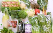 定期便 旬の新鮮野菜詰め合わせ 8種以上 全12回【野菜セット】