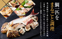 白浜天鯛完食 【先行予約 2026年3月初旬～5月中旬に順次配送】