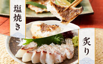 白浜天鯛完食 【先行予約 2026年3月初旬～5月中旬に順次配送】