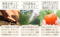  ＠FARMトマト加工品セット ／ トマトジュース パスタソース ケチャップ 埼玉県