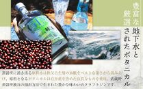 【400ml】Japanese Craft GIN　棘玉 ／ お酒 クラフトジン とげだま 埼玉県