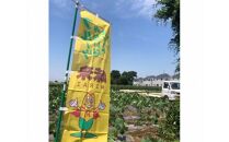 【2024年発送】トウモロコシ「味来」　約5kg ／ やさい 野菜 コーン 埼玉県