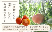 トマトジュース3本セット【プレミアムトマト、トマト】 ／ プレミアムトマトジュース とまと 野菜 埼玉県