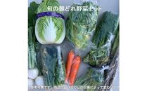 旬の朝どれ野菜おまかせセット ／ やさい 朝採れ 埼玉県