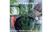 旬の朝どれ野菜充実おまかせセット ／ やさい 朝採れ 埼玉県