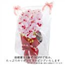 造花&nbsp;シルクフラワーの胡蝶蘭の鉢植&nbsp;3本立&nbsp;CT触媒&nbsp;ホワイトオーキッド&nbsp;／&nbsp;お花&nbsp;コチョウラン&nbsp;埼玉県