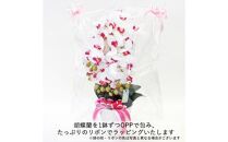 造花&nbsp;シルクフラワーの胡蝶蘭の鉢植&nbsp;5本立&nbsp;CT触媒&nbsp;ホワイトオーキッド&nbsp;／&nbsp;お花&nbsp;コチョウラン&nbsp;埼玉県