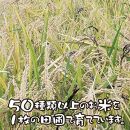 渡良瀬の稔り 発芽する玄米 「彩とりどり米」（ 雑穀 玄米 2kg ) | 15年以上 無農薬 無化学肥料 除草剤不使用  池田農園 栃木県産 オール玄米 グルテンフリー 保存便利なチャック付ポリ袋 お米 玄米 雑穀米 