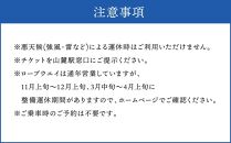 小樽天狗山 ロープウエイ 往復乗車券 大人2名様分 ロープウェイ 観光 旅行 夜景