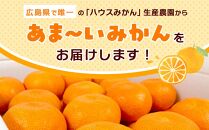 瀬戸田産ハウスみかん(ご家庭用) 2.5キロ＜7月1日～順次発送＞ドルチェみかん フルーツ 柑橘 果物 産直