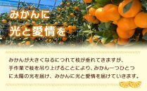 瀬戸田産ハウスみかん(ご家庭用) 2.5キロ＜7月1日～順次発送＞ドルチェみかん フルーツ 柑橘 果物 産直