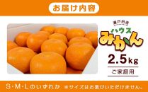 瀬戸田産ハウスみかん(ご家庭用) 2.5キロ＜7月1日～順次発送＞ドルチェみかん フルーツ 柑橘 果物 産直