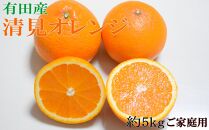 【濃厚】有田産清見オレンジ約5kg（サイズおまかせ・ご家庭用）★2025年2月下旬頃より順次発送