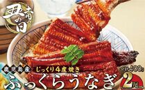 【土用丑の日】うなぎ 蒲焼 200g×2尾【鹿児島産】地下水で育てた絶品鰻