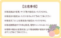 【全12回・毎月発送】和歌山をまるごと味わい尽くす定期便（熊野牛・フルーツ・梅酒）【MG61】