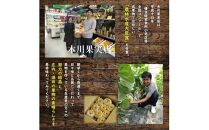 酒田の果物専門店厳選　刈屋産 幸水梨　約3kg(8～9玉入)＜木川果実店＞