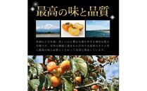 酒田の果物専門店厳選　庄内柿(種なし柿)　約5kg(26玉入) 【贈答用仕様】＜木川果実店＞