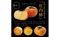 酒田の果物専門店厳選　庄内柿(種なし柿)　約5kg(26玉入) 【贈答用仕様】＜木川果実店＞