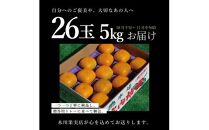 酒田の果物専門店厳選　庄内柿(種なし柿)　約5kg(26玉入) 【贈答用仕様】＜木川果実店＞