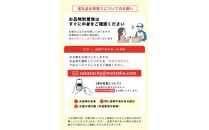 酒田の果物専門店厳選　庄内柿(種なし柿)　約5kg(26玉入) 【贈答用仕様】＜木川果実店＞