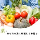 【3回定期便】【野菜ソムリエ厳選】北海道小樽産 旬の活野菜セットL 10種以上 120サイズ