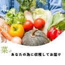 【4回定期便】【野菜ソムリエ厳選】北海道小樽産 旬の活野菜セットL 10種以上 120サイズ