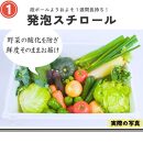 【4回定期便】【野菜ソムリエ厳選】北海道小樽産 旬の活野菜セットL 10種以上 120サイズ